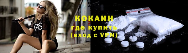мяу мяу мука Няндома
