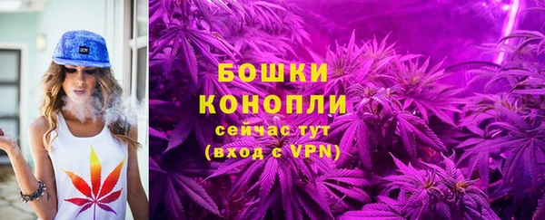 марки lsd Пересвет