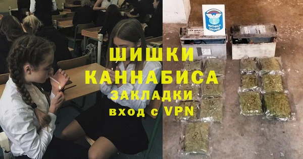сатива Пестово