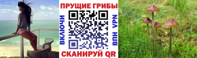 где найти   Спасск-Рязанский  Галлюциногенные грибы ЛСД 